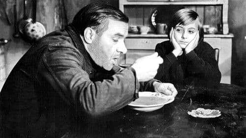 Świadectwo urodzenia Bild 8