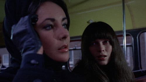 Die Frau aus dem Nichts Bild 2