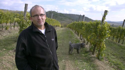 Folyékony arany Bild 4