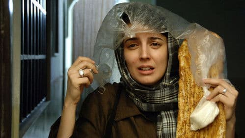 بی پولی Bild 4