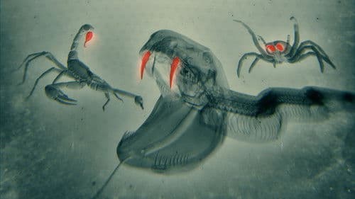 World's Most Toxic Animals Bild 1