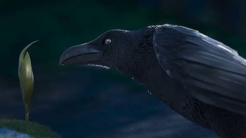 Little Doctor Bild 2