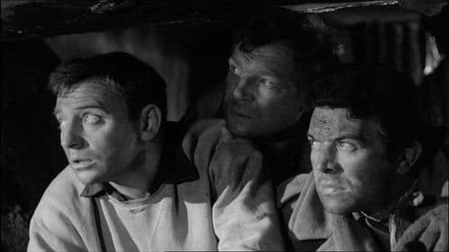 Calculated Risk Bild 1