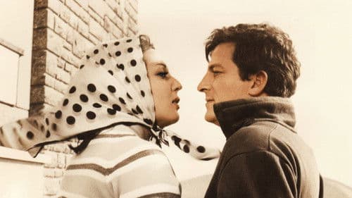 Dişi Örümcek Bild 2