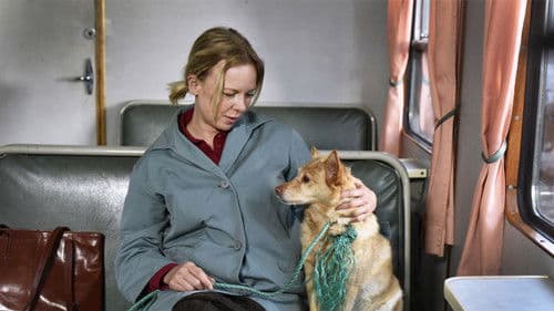 Fallende Blätter Bild 6