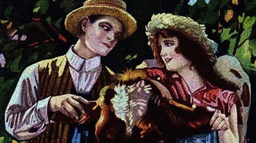 The Perils of Petersboro Bild 1