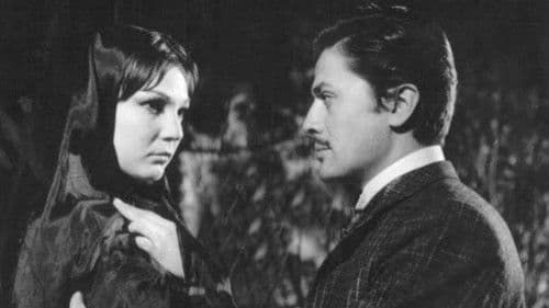 Haremde Dört Kadın Bild 1