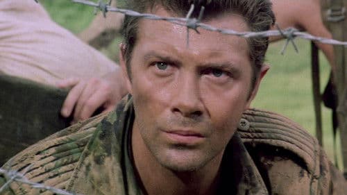 Geheimcode Wildgänse Bild 7