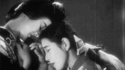 乙女シリーズその一　福寿草 Bild 4