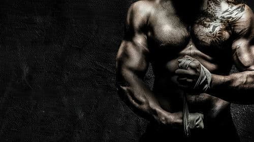 Invincible Dragon Bild 3