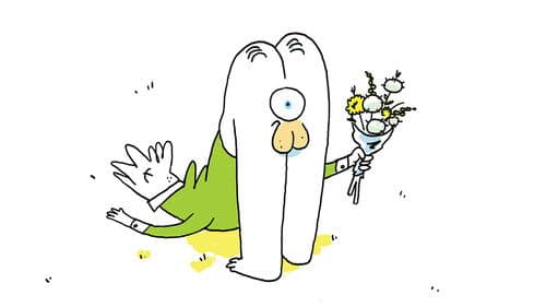 Monsieur Flap Bild 1