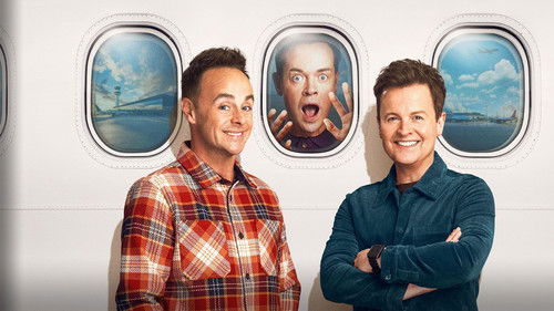 Accidental Tourist Bild 1