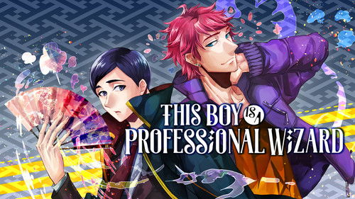 This Boy is a Professional Wizard Bild 3