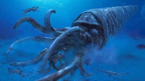 Monster der Tiefe: Im Reich der Urzeit Bild 7