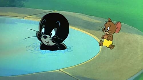 Tom geht zum Zirkus Bild 1