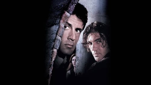 Assassins - Die Killer Bild 1