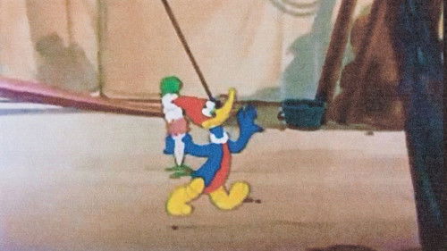 The Dizzy Acrobat Bild 1