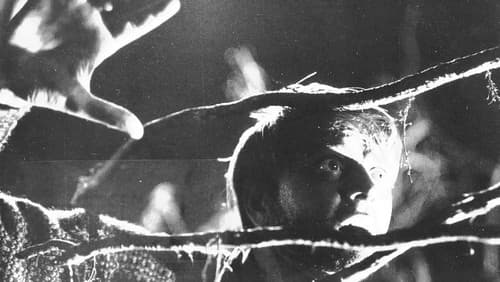 De dødes tjern Bild 2