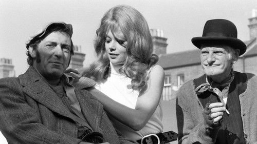 Harold und die Stripperin Bild 1