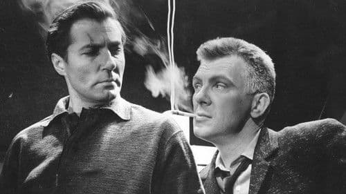 Akmens un šķembas Bild 1