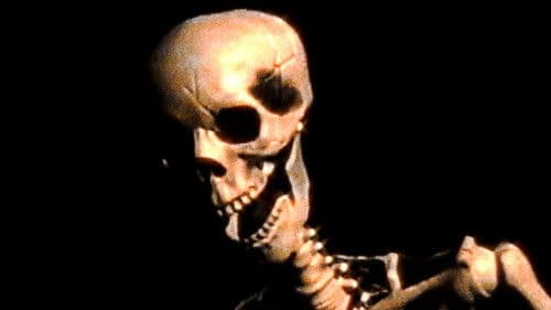 Sword of the Nightingale Bild 7