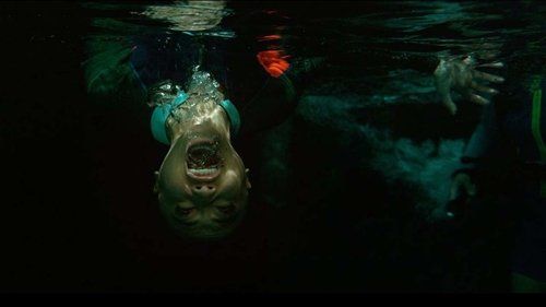47 Meters Down: Uncaged Bild 7