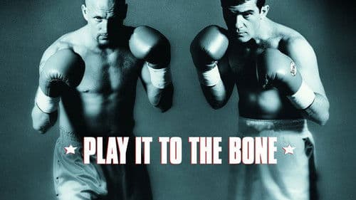 Knocked Out - Eine schlagkräftige Freundschaft Bild 6