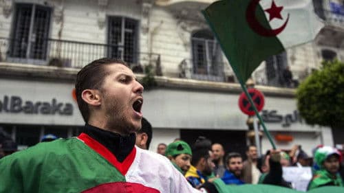 Toute l'Algérie du monde Bild 2