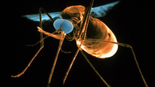 Le retour des Envahisseurs Invisibles Bild 2