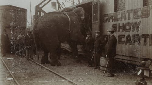 Fritz, der Elefant – Eine tragische Geschichte Bild 1