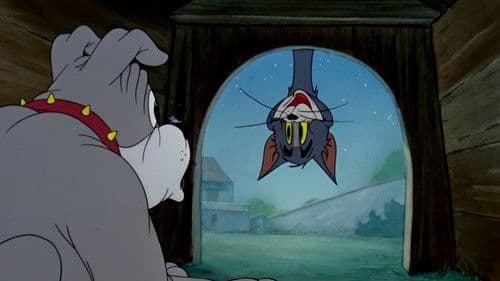 Tom als Troubadour Bild 5