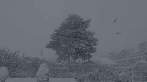 하코다테에서 안녕 Bild 1