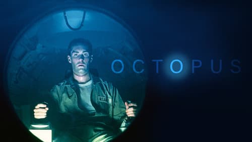 Octopus Bild 2