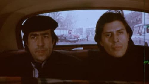 Queridos compañeros Bild 1