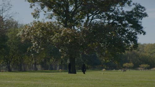 Amongst the Ashes Bild 1