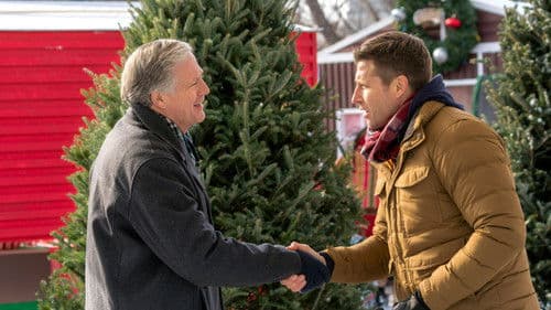 Christmas Festival of Ice Bild 8