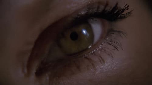 Cecilia - hemmungslos und unersättlich Bild 5