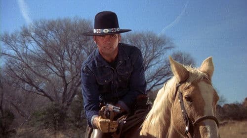 Billy Jack Bild 6