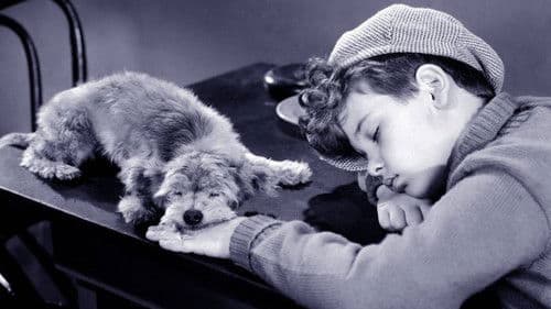 The Mighty McGurk Bild 1