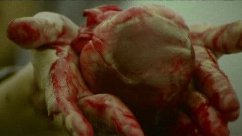 Wir kommen und werden Euch fressen Bild 4