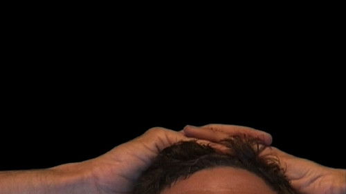 Theo Maassen: Functioneel Naakt Bild 1