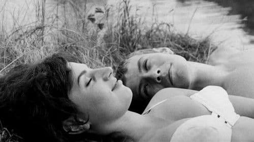 Slnko v sieti Bild 1