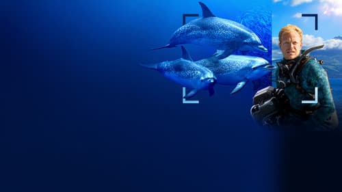 Delfine hautnah mit Bertie Gregory Bild 5