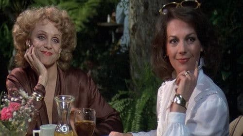 Einmal Scheidung, bitte! Bild 4