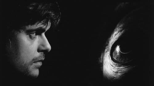 Die Werckmeisterschen Harmonien Bild 7