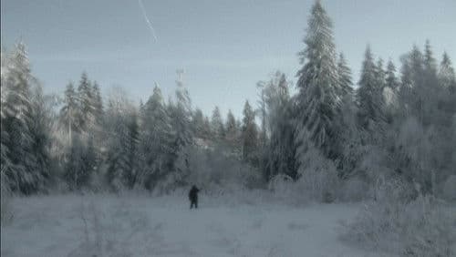 Элегия дороги Bild 2