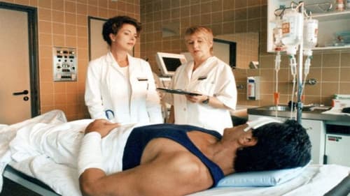 Herberge für einen Frühling Bild 1