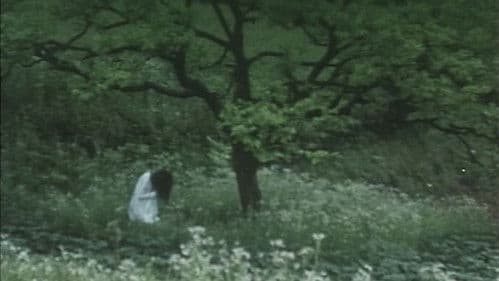 EMOTION 伝説の午後＝いつか見たドラキュラ Bild 7