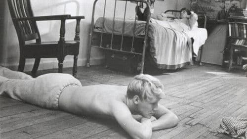 A Separate Peace Bild 4