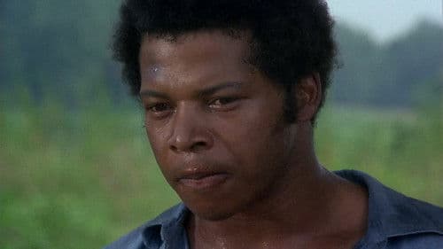 Der Große aus dem Dunkeln Bild 8